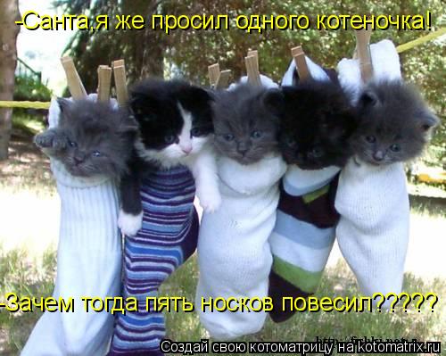 -Санта,я же просил одного котеночка! -Зачем тогда пять носков повесил?????... Котоматрица: -Санта,я же просил одного котеночка! -Зачем тогда пять носков повесил?????