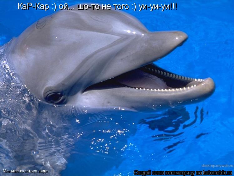 КаР-Кар :) ой... шо-то не того :) уи-уи-уи!!! - Меньше колоться надо... Котоматрица: КаР-Кар :) ой... шо-то не того :) уи-уи-уи!!! - Меньше колоться надо