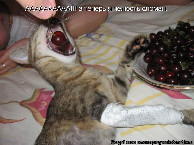 АААААААААА!!! а теперь я челюсть сломал.... Котоматрица: АААААААААА!!! а теперь я челюсть сломал.