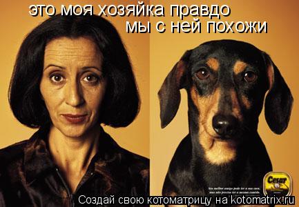 это моя хозяйка правдо мы с ней похожи... Котоматрица: это моя хозяйка правдо мы с ней похожи
