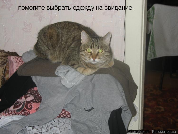 помогите выбрать одежду на свидание.... Котоматрица: помогите выбрать одежду на свидание.