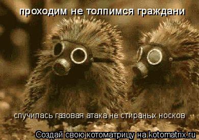 проходим не толпимся граждани случилась газовая атака не стираных носков... Котоматрица: проходим не толпимся граждани случилась газовая атака не стираных носков
