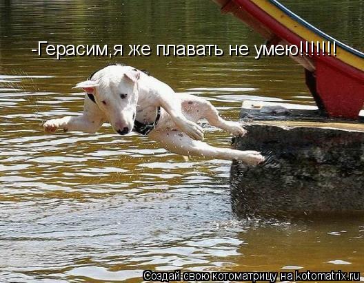 -Герасим,я же плавать не умею!!!!!!!... Котоматрица: -Герасим,я же плавать не умею!!!!!!!