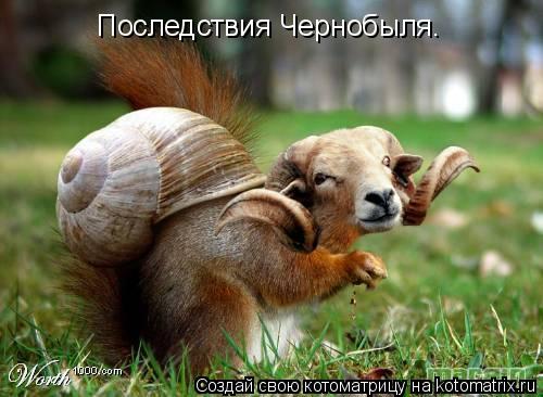 Последствия Чернобыля.... Котоматрица: Последствия Чернобыля.