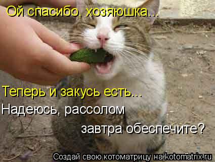 Ой спасибо, хозяюшка... Теперь и закусь есть... Надеюсь, рассолом завтра обеспечите?... Котоматрица: Ой спасибо, хозяюшка... Теперь и закусь есть... Надеюсь, рассолом завтра обеспечите?