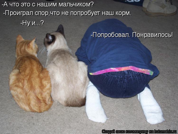 -А что это с нашим мальчиком? -Проиграл спор,что не попробует наш корм. -Ну и...? -Попробовал. Понрав... Котоматрица: -А что это с нашим мальчиком? -Проиграл спор,что не попробует наш корм. -Ну и...? -Попробовал. Понравилось!