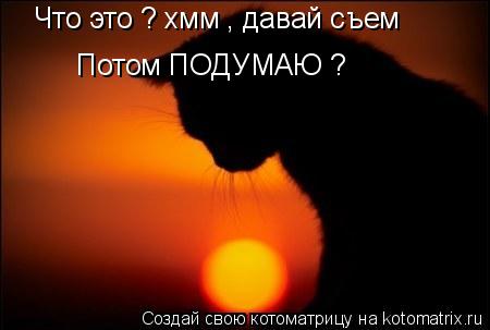 Что это ? хмм , давай съем Потом ПОДУМАЮ ?... Котоматрица: Что это ? хмм , давай съем Потом ПОДУМАЮ ?