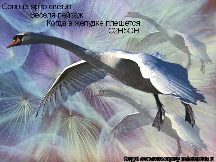 Солнце ярко светит, Веселя пейзаж, Когда в желудке плещется С2Н5ОН... Котоматрица: Солнце ярко светит, Веселя пейзаж, Когда в желудке плещется С2Н5ОН