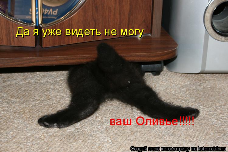 Да я уже видеть не могу ваш Оливье!!!!!... Котоматрица: Да я уже видеть не могу ваш Оливье!!!!!