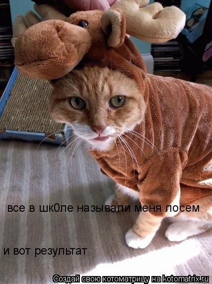 все в шк0ле называли меня лосем и вот результат... Котоматрица: все в шк0ле называли меня лосем и вот результат