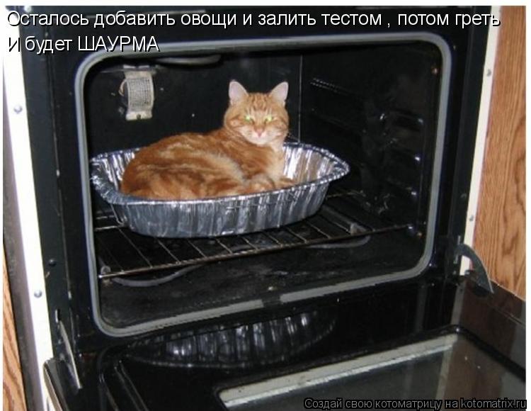Осталось добавить овощи и залить тестом , потом греть И будет ШАУРМА... Котоматрица: Осталось добавить овощи и залить тестом , потом греть И будет ШАУРМА
