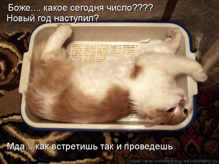 Боже.... какое сегодня число???? Новый год наступил? Мда... как встретишь так и проведешь... Котоматрица: Боже.... какое сегодня число???? Новый год наступил? Мда... как встретишь так и проведешь