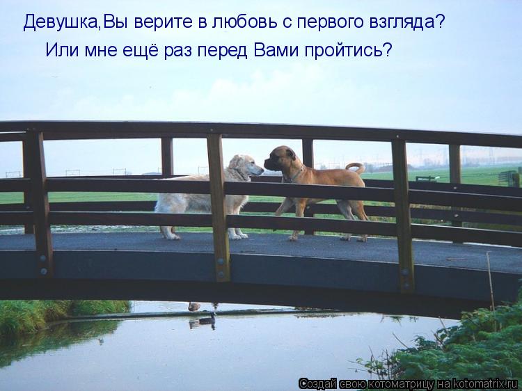 Котоматрица: Девушка,Вы верите в любовь с первого взгляда? Или мне ещё раз перед Вами пройтись?