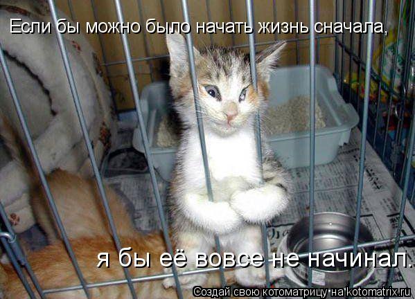 Котоматрица: Если бы можно было начать жизнь сначала,  я бы её вовсе не начинал.