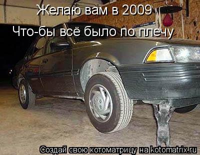 Желаю вам в 2009 Что-бы всё было по плечу... Котоматрица: Желаю вам в 2009 Что-бы всё было по плечу