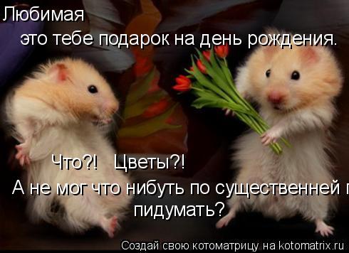Любимая это тебе подарок на день рождения. Что?! Цветы?! А не мог что нибуть по существенней пидум... Котоматрица: Любимая это тебе подарок на день рождения. Что?! Цветы?! А не мог что нибуть по существенней пидумать? пидумать?