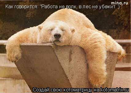 Как говорится: "Работа не волк, в лес не убежит :) "... Котоматрица: Как говорится: "Работа не волк, в лес не убежит :) "