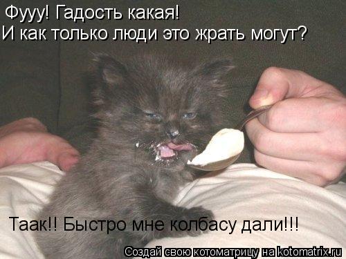 Фууу! Гадость какая! И как только люди это жрать могут? Таак!! Быстро мне колбасу дали!!!... Котоматрица: Фууу! Гадость какая! И как только люди это жрать могут? Таак!! Быстро мне колбасу дали!!!