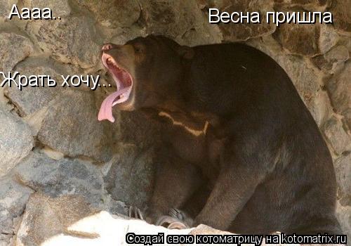 Аааа.. Жрать хочу... Весна пришла... Котоматрица: Аааа.. Жрать хочу... Весна пришла