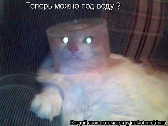 Теперь можно под воду ?... Котоматрица: Теперь можно под воду ?