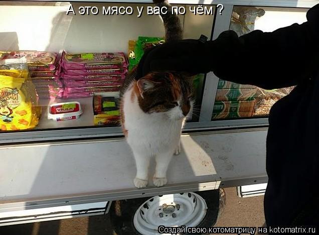 А это мясо у вас по чём ?... Котоматрица: А это мясо у вас по чём ?