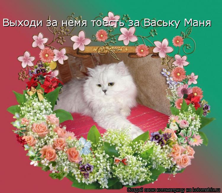 Выходи за немя тоесть за Ваську Маня... Котоматрица: Выходи за немя тоесть за Ваську Маня