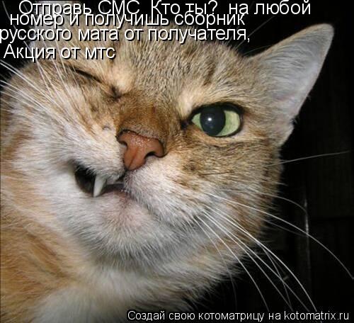 Отправь СМС «Кто ты?» на любой Акция от мтс номер и получишь сборник русского мата от получателя,... Котоматрица: Отправь СМС «Кто ты?» на любой Акция от мтс номер и получишь сборник русского мата от получателя,