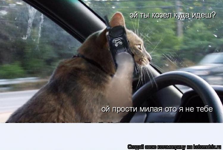 эй ты козел куда идеш? ой прости милая ото я не тебе... Котоматрица: эй ты козел куда идеш? ой прости милая ото я не тебе