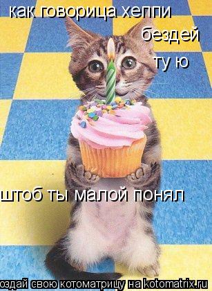 как говорица хеппи бездей ту ю штоб ты малой понял... Котоматрица: как говорица хеппи бездей ту ю штоб ты малой понял