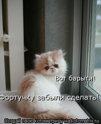 Котоматрица: Вот барыги!  Фортучку забыли сделать!