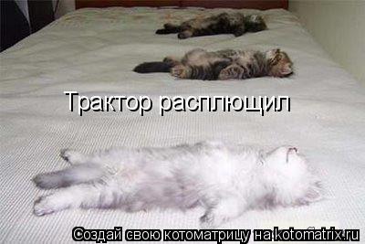 Трактор расплющил... Котоматрица: Трактор расплющил