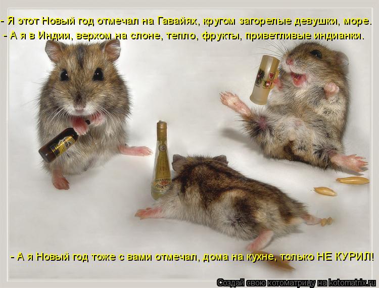 - Я этот Новый год отмечал на Гавайях, кругом загорелые девушки, море. - А я в Индии, верхом на слоне... Котоматрица: - Я этот Новый год отмечал на Гавайях, кругом загорелые девушки, море. - А я в Индии, верхом на слоне, тепло, фрукты, приветливые индианки. - А я