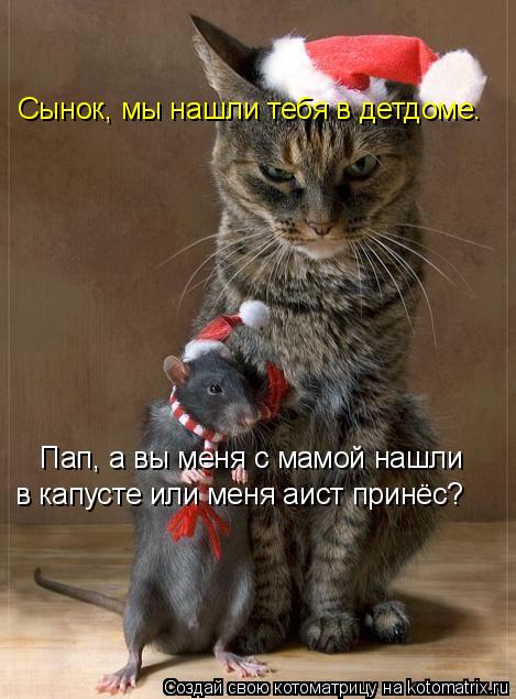 Пап, а вы меня с мамой нашли в капусте или меня аист принёс? Сынок, мы нашли тебя в детдоме.... Котоматрица: Пап, а вы меня с мамой нашли в капусте или меня аист принёс? Сынок, мы нашли тебя в детдоме.