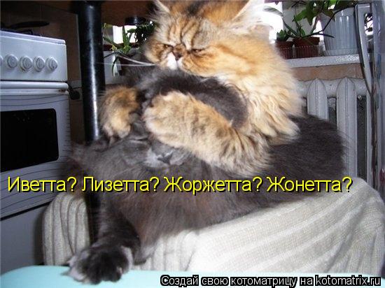 Иветта? Лизетта? Жоржетта? Жонетта?... Котоматрица: Иветта? Лизетта? Жоржетта? Жонетта?
