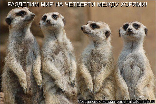 РАЗДЕЛИМ МИР НА ЧЕТВЕРТИ МЕЖДУ ХОРЯМИ!... Котоматрица: РАЗДЕЛИМ МИР НА ЧЕТВЕРТИ МЕЖДУ ХОРЯМИ!