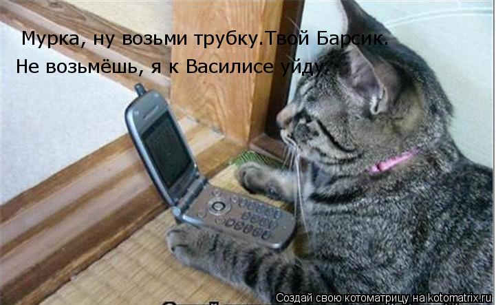 Мурка, ну возьми трубку.Твой Барсик. Не возьмёшь, я к Василисе уйду... Котоматрица: Мурка, ну возьми трубку.Твой Барсик. Не возьмёшь, я к Василисе уйду