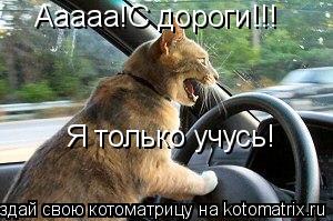 Ааааа!С дороги!!! Я только учусь!... Котоматрица: Ааааа!С дороги!!! Я только учусь!