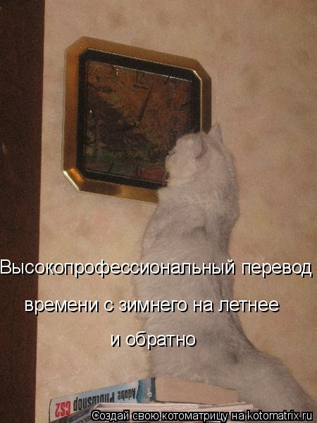 Высокопрофессиональный перевод времени с зимнего на летнее и обратно... Котоматрица: Высокопрофессиональный перевод времени с зимнего на летнее и обратно