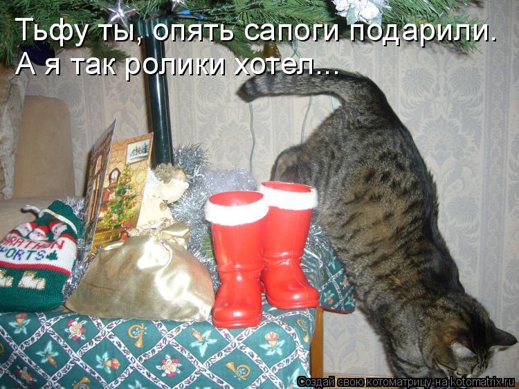 Тьфу ты, опять сапоги подарили. А я так ролики хотел...... Котоматрица: Тьфу ты, опять сапоги подарили. А я так ролики хотел...