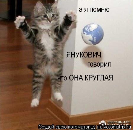Котоматрица: оказуется  а я помню ЯНУКОВИЧ  говорил что ОНА КРУГЛАЯ