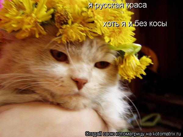 я русская краса хоть я и без косы... Котоматрица: я русская краса хоть я и без косы