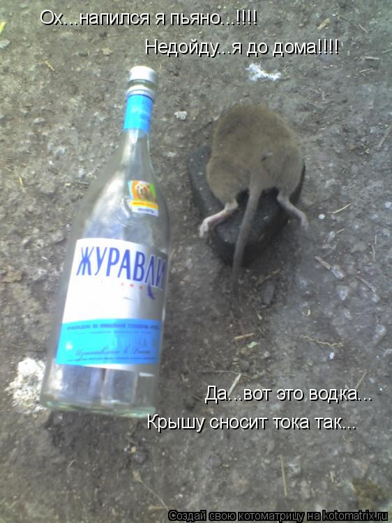 Котоматрица: Ох...напился я пьяно...!!!! Недойду...я до дома!!!! Да...вот это водка... Крышу сносит тока так...