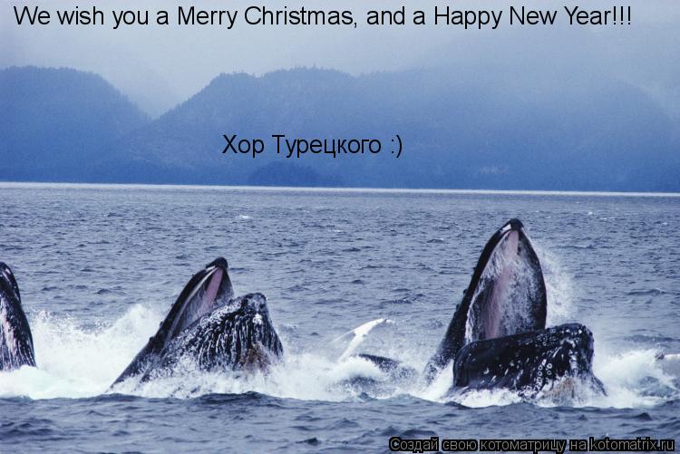 We wish you a Merry Christmas, and a Happy New Year!!! Хор Турецкого :)... Котоматрица: We wish you a Merry Christmas, and a Happy New Year!!! Хор Турецкого :)