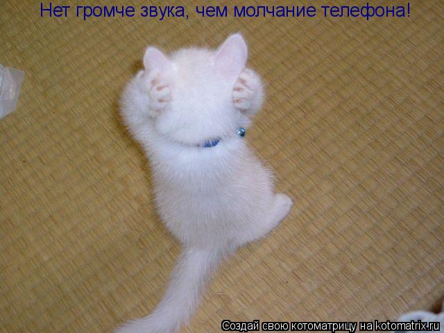 Нет громче звука, чем молчание телефона!... Котоматрица: Нет громче звука, чем молчание телефона!