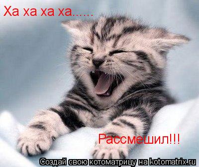 Ха ха ха ха...... Рассмешил!!!... Котоматрица: Ха ха ха ха...... Рассмешил!!!