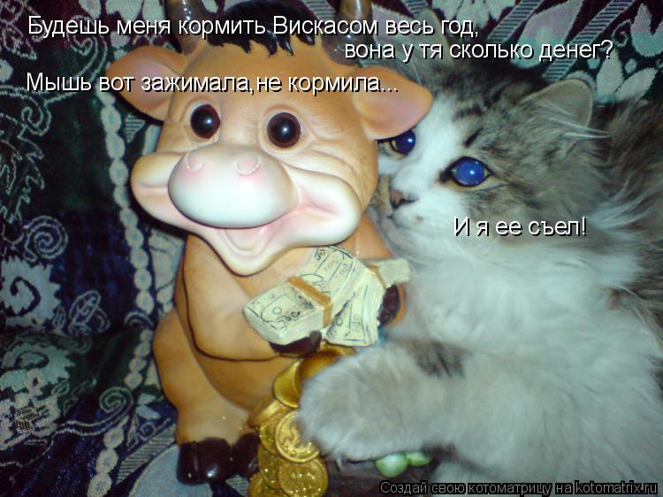Будешь меня кормить Вискасом весь год, вона у тя сколько денег? Мышь вот зажимала,не кормила... И я е... Котоматрица: Будешь меня кормить Вискасом весь год, вона у тя сколько денег? Мышь вот зажимала,не кормила... И я ее съел!