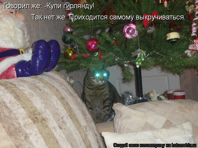 Говорил же: -Купи гирлянду! Так нет же. Приходится самому выкручиваться.... Котоматрица: Говорил же: -Купи гирлянду! Так нет же. Приходится самому выкручиваться.