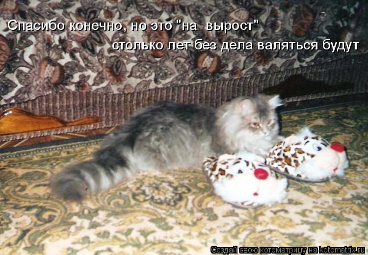Спасибо конечно, но это "на вырост" столько лет без дела валяться будут... Котоматрица: Спасибо конечно, но это "на вырост" столько лет без дела валяться будут