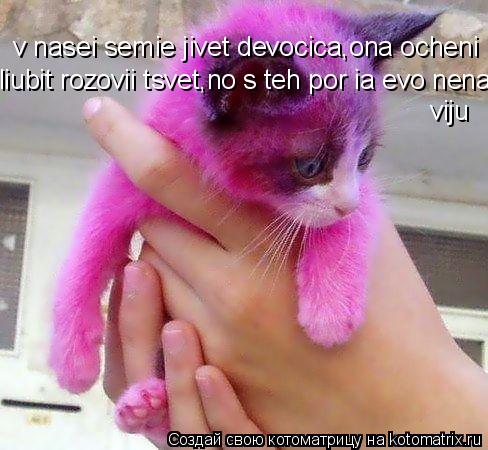 v nasei semie jivet devocica,ona ocheni liubit rozovii tsvet,no s teh por ia evo nenaviju liubit rozo... Котоматрица: v nasei semie jivet devocica,ona ocheni liubit rozovii tsvet,no s teh por ia evo nenaviju liubit rozovii tsvet,no s teh por ia evo nenaviju viju