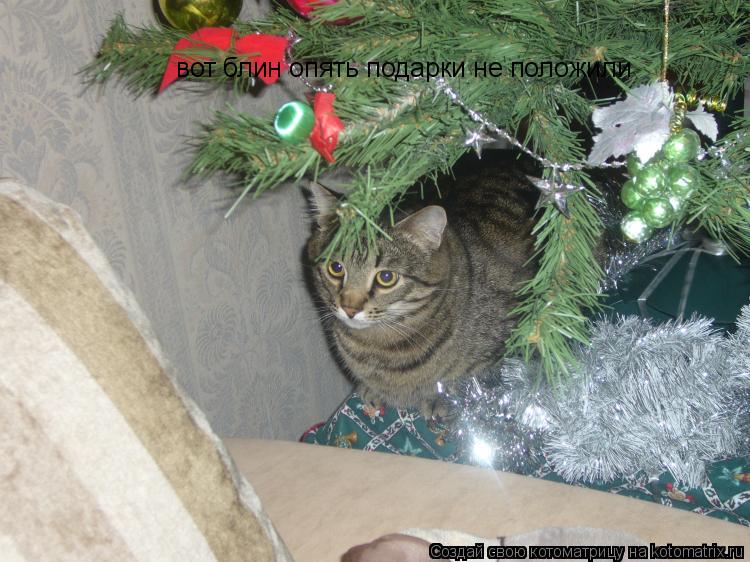 вот блин опять подарки не положили... Котоматрица: вот блин опять подарки не положили